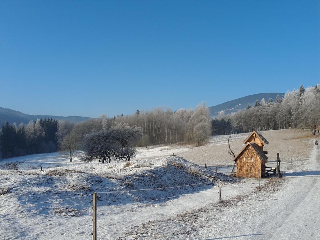 Ubytování - Černá hora II Svoboda nad Úpou Esterno foto