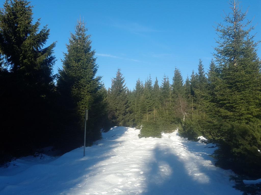 Ubytování - Černá hora II Svoboda nad Úpou Esterno foto