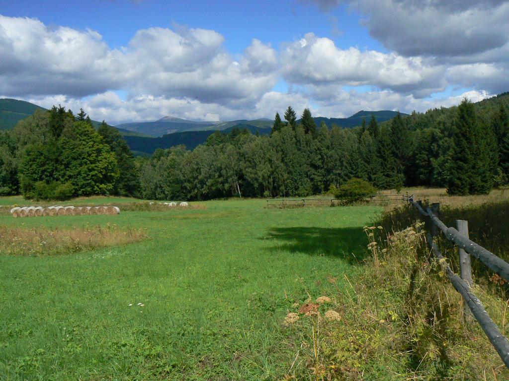 Ubytování - Černá hora II Svoboda nad Úpou Esterno foto